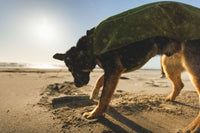 Ruffwear Climate Changer™ Fleece Vest
